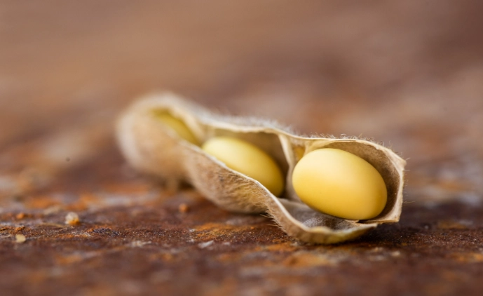 大豆蛋白減肥 大豆蛋白減肥