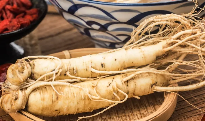 人蔘食譜 人蔘食譜