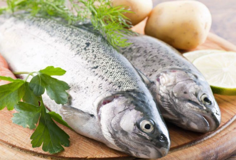 新鮮魚保存 新鮮魚保存