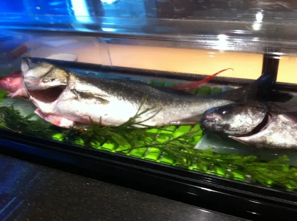 魚放冰箱方法 魚放冰箱方法