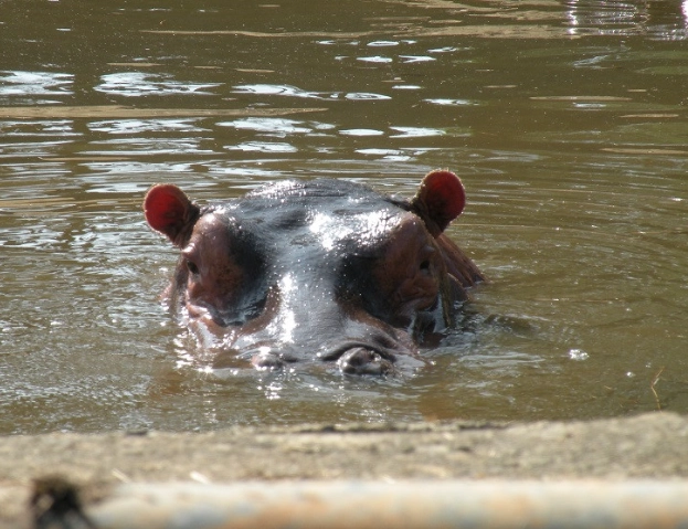 六福莊生態度假旅館 六福莊生態度假旅館