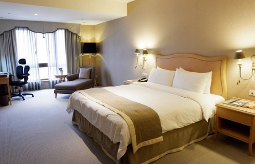 新莊寵物友善住宿推薦清單：帶毛孩輕鬆入住不踩雷