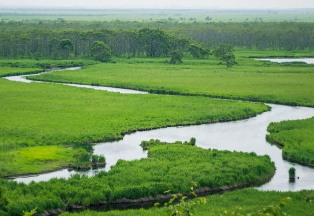 道東七日行程規劃終極指南：深入北海道秘境的自駕路線與景點全攻略