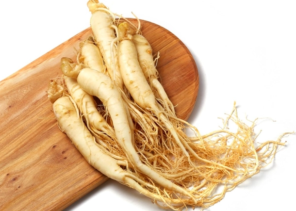 韓國人蔘食譜全攻略：從選材到料理的完整指南