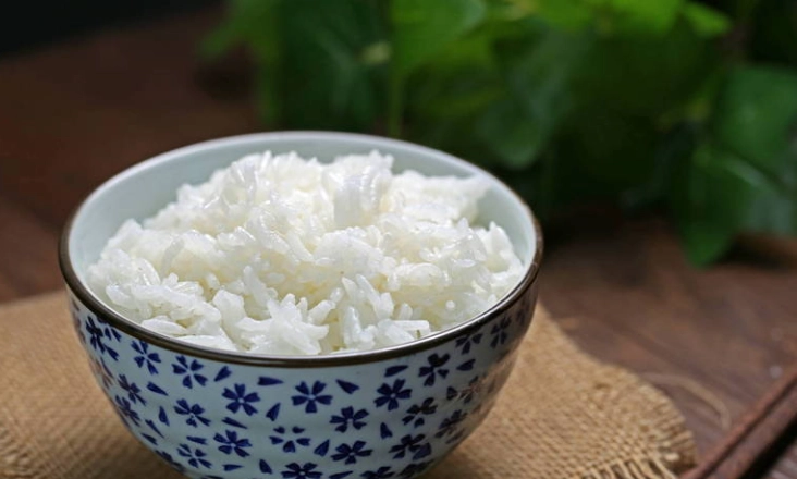 米要如何保存？防蟲防潮5大實用技巧全解析