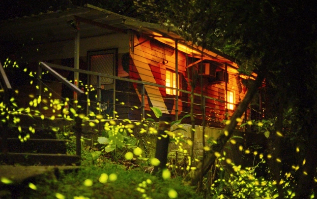 台灣螢火蟲景點 台灣螢火蟲景點