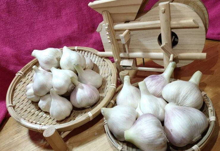 蒜頭解凍完美攻略：避免錯誤，保留原味與營養