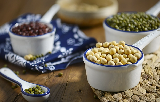 乳清蛋白減肥 乳清蛋白減肥