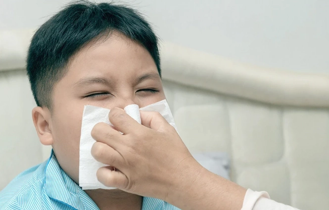 感冒鼻塞食物 感冒鼻塞食物