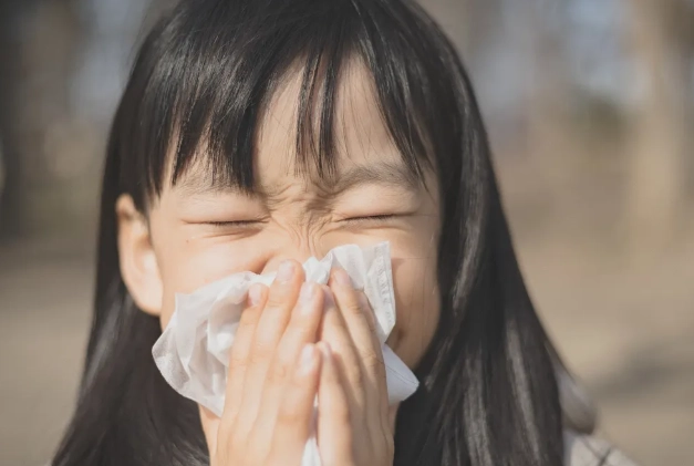 感冒流鼻水 湯品 感冒流鼻水 湯品