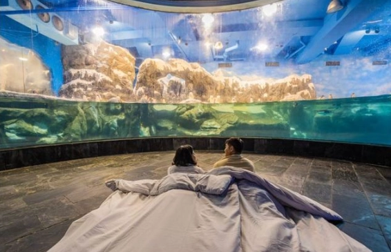 海生館 交通 海生館 交通