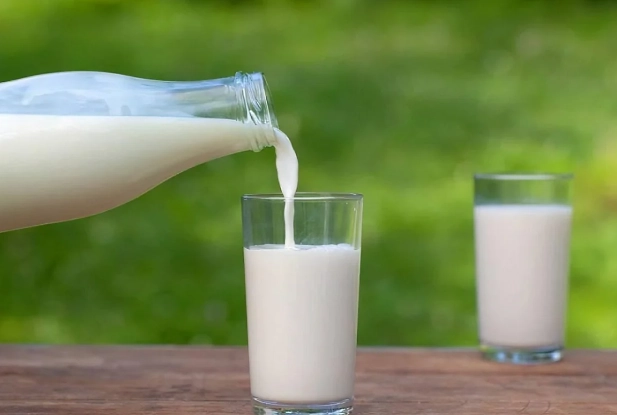 自製有機肥 自製有機肥