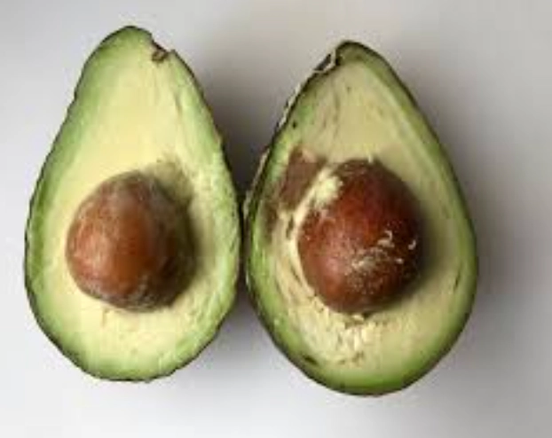 酪梨保存 酪梨保存