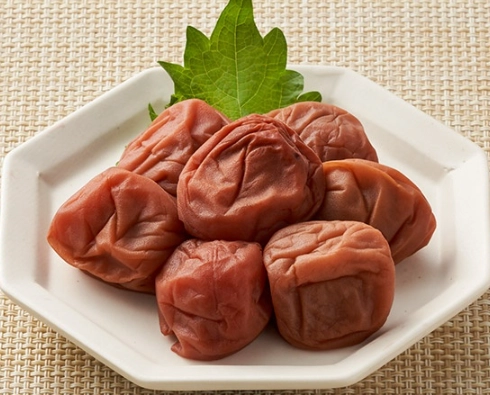 和歌山景點推薦 和歌山景點推薦