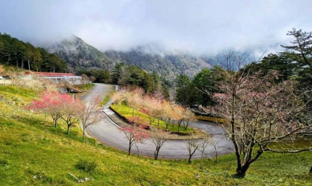 高山步道推薦 高山步道推薦
