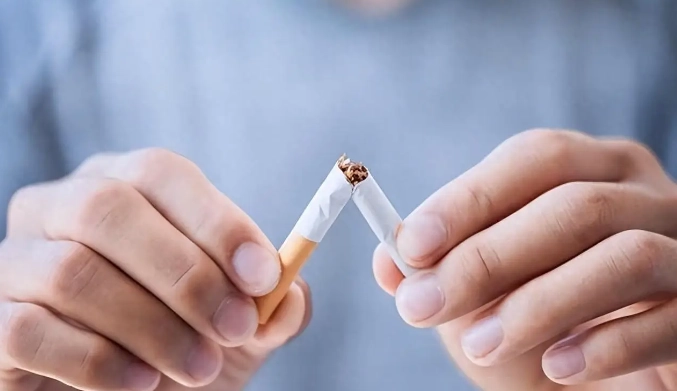 漸進式戒菸完全指南：無痛戒菸的科學方法與實戰步驟