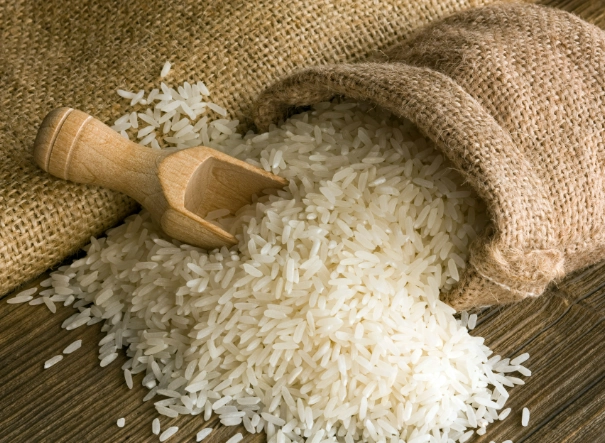 如何保存米不長蟲？5個實用防蟲技巧與完整指南