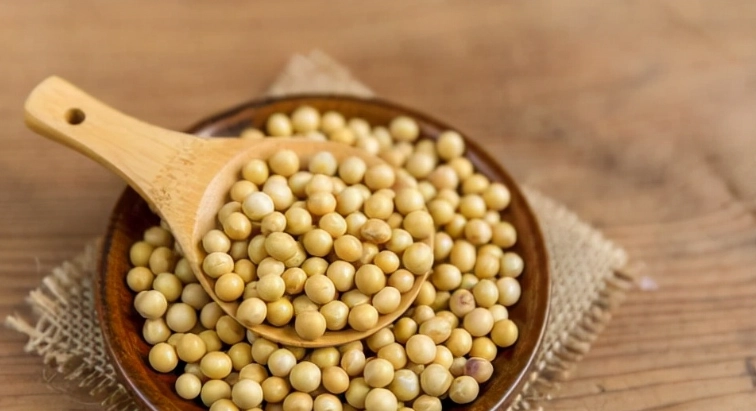 蛋白質減肥法 蛋白質減肥法