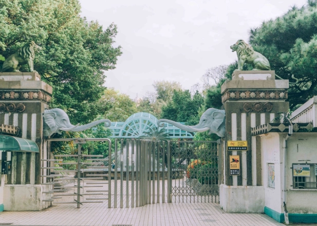 新竹一日遊長輩攻略：輕鬆行程與無障礙景點推薦