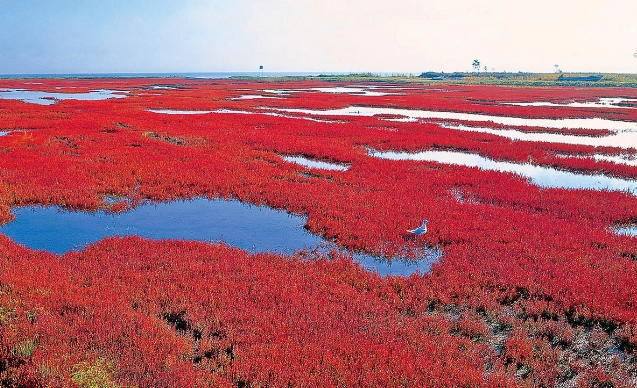 知床半島旅遊 知床半島旅遊