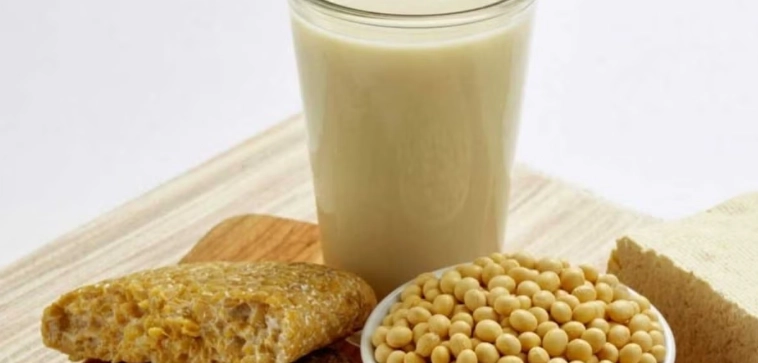 蛋白質減肥法 蛋白質減肥法