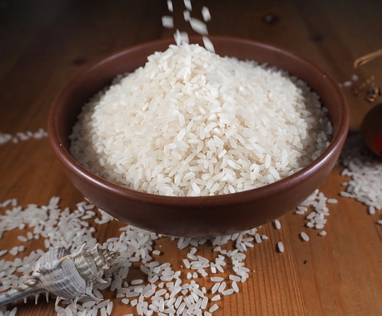 生米保存終極指南：防蟲、保鮮、省錢的廚房秘訣