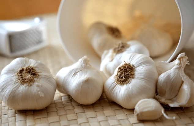 蒜頭發芽處理 蒜頭發芽處理