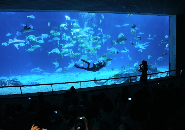 海生館 交通 海生館 交通