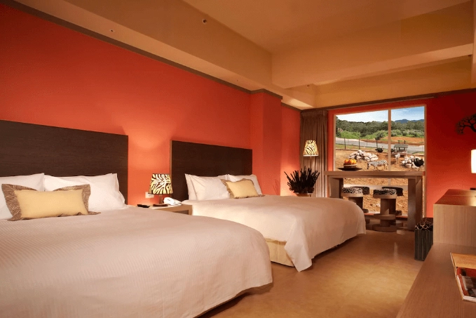 池上六福莊全攻略：住宿、動物體驗與交通資訊一次看