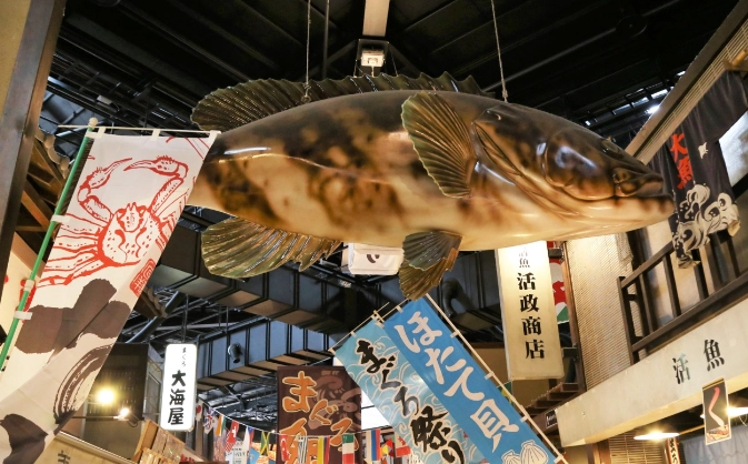 大阪到和歌山交通 大阪到和歌山交通