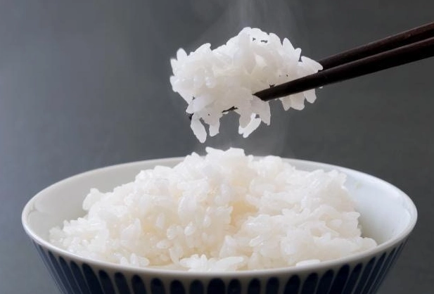 隔夜飯細菌真相：專家教你安全儲存與加熱終極指南