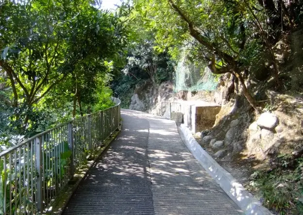 合和中心觀景台