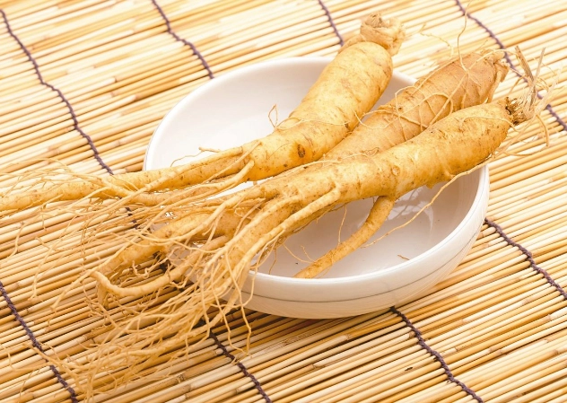 人參功效全解析：補氣養生、增強體力的關鍵秘密