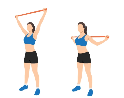 在家用彈力帶練背肌：完整指南與常見錯誤解析