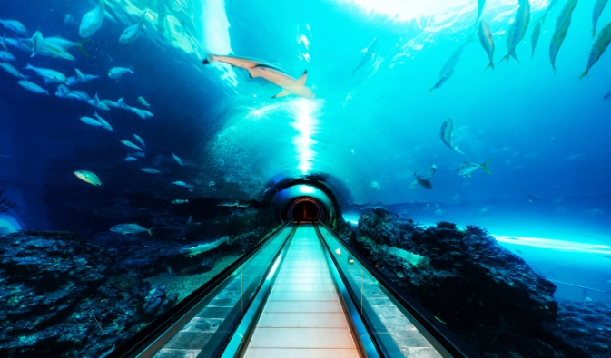 屏東海生館 一日遊 行程 屏東海生館 一日遊 行程