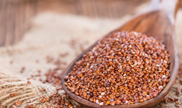 藜麥料理 藜麥料理