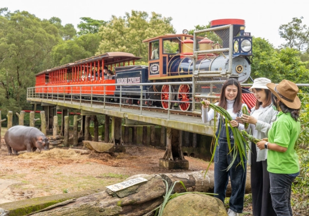 六福莊河馬體驗全攻略：親子近距離接觸動物必看指南