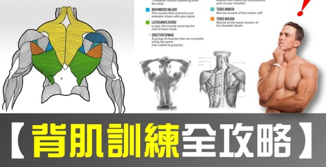 如何練背肌？掌握5大黃金動作與3個常見誤區，打造寬厚背肌