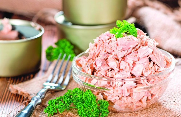 吞拿魚罐頭選擇 吞拿魚罐頭選擇