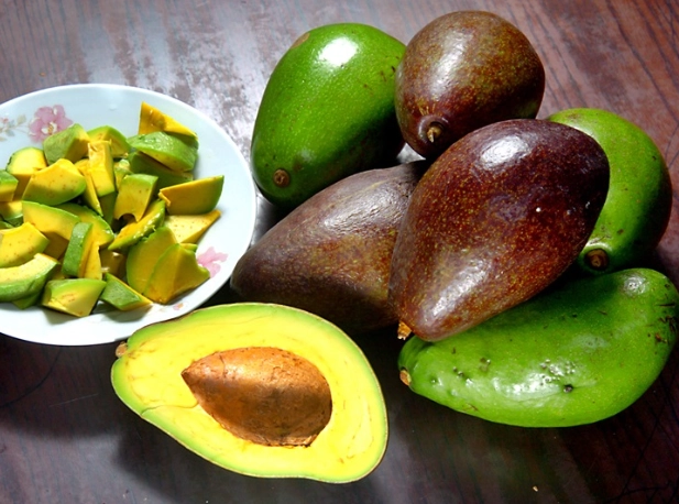 酪梨食譜 酪梨食譜