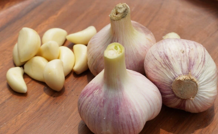 蒜頭怎麼播？從選種到收成的完整種植教學與錯誤避坑指南