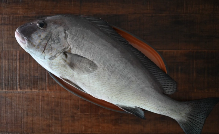 魚冷藏保存時間 魚冷藏保存時間