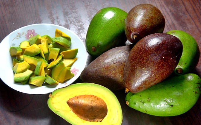 酪梨減肥 酪梨減肥