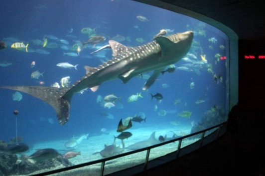 屏東海生館 門票 屏東海生館 門票