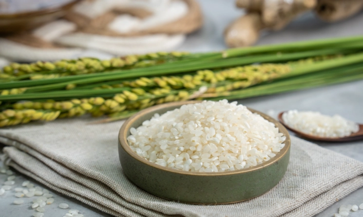 冷凍米保存方法 冷凍米保存方法