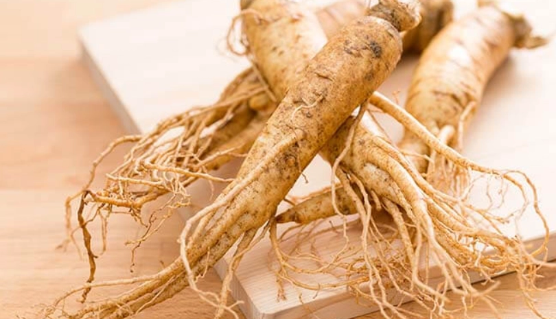 甲狀腺結節可以吃人參嗎？中醫師與營養師的專業解答與風險提醒