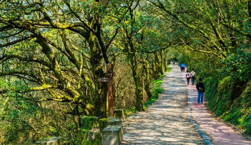 雨天景點 北部 雨天景點 北部