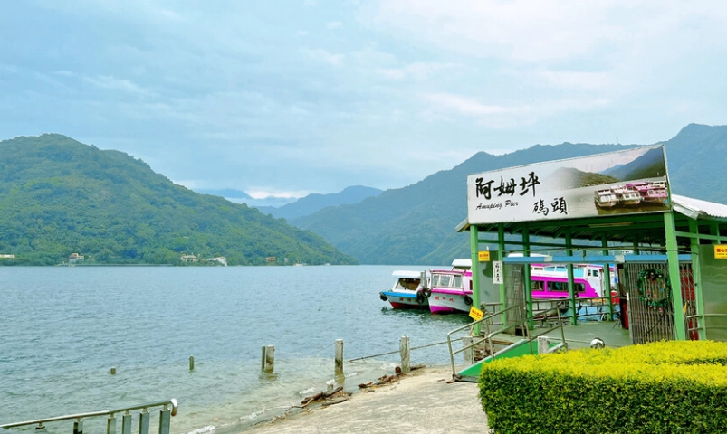 阿姆坪一日遊攻略：秘境交通船、薑母島巡禮與石門水庫美食全收錄