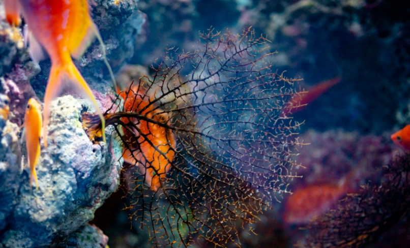 桃園打卡景點 桃園打卡景點