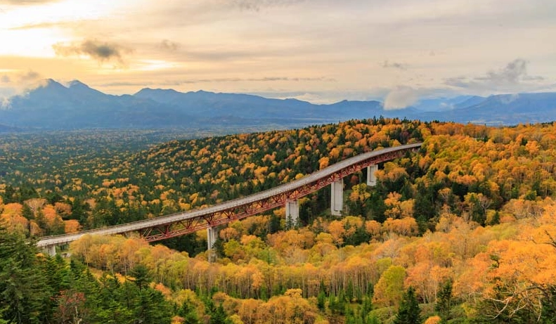 北海道紅葉